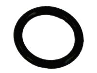 Infiniti 22131-EN205 Seal-O Ring