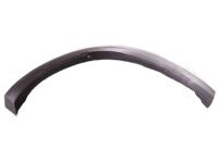 Infiniti 78860-5NA0A Moulding-Fillet,Rear RH