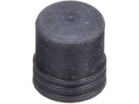 Infiniti 41129-80Z0A Cap-Bleeder Screw