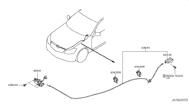 2009 Infiniti M45 Hood Lock Male Assembly Diagram for 65601-EH100