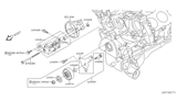 Diagram for Infiniti M35 A/C Idler Pulley - 11925-AR010