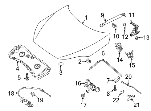 2020 Infiniti QX50 Hood & Components Diagram