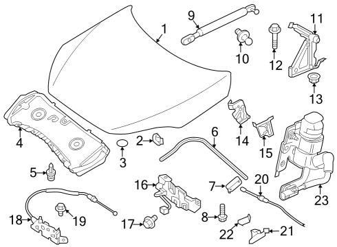 2021 Infiniti QX50 Hood & Components Diagram