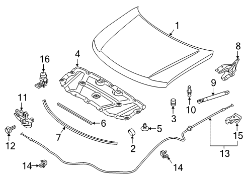 2021 Infiniti QX80 Hood & Components Diagram