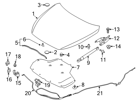 2020 Infiniti Q60 Hood & Components Diagram