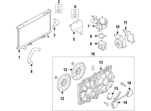 2020 Infiniti Q60 Cooling System, Radiator, Water Pump, Cooling Fan Diagram 2