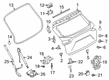 Diagram for Infiniti QX50 Tailgate Lift Support - 90560-5NA0C